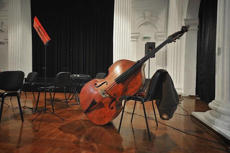 Double Bass In2